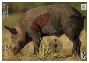 Birchwood Casey 35408 Pregame  Boar Paper Target 16.50" x 24" 3 Per Pkg