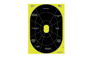 ALLEN EZ AIM 12"X18" HG TRAINER 8PK