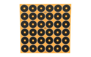 ALLEN EZ AIM 1" BULLSEYE 12 SHEETS